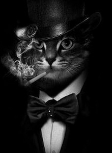 Henry-129 My Photos photo 5458387