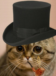 Henry-129 My Photos photo 5458390