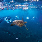 Путешествие