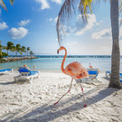 Travel to Aruba