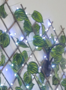 Karlamonroy My Photos photo 5210895