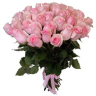 Beautiful flowers