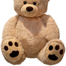 Big teddy