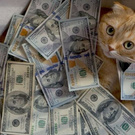 bunny-lee wish list item 2 thumbnail