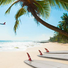 Travel