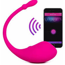 A lovense with a phone