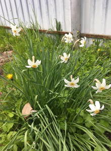 M-77 My Photos photo 5237412