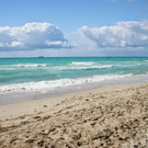 New vacation