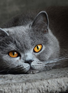 YanYanaa My Photos photo 5266103