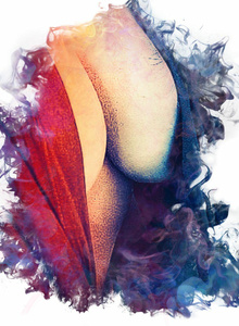 gatugoldx It's Me photo 5354136