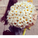 another dream of mine