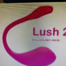 lovense lush
