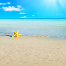 Sea