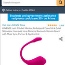 LOVESENSE VIBRATING TOY