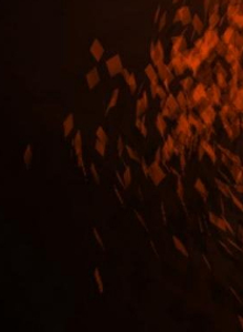 Massik-Hott My Photos photo 5287230