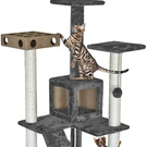Cat Gym