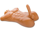 torso
