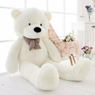 I love teddys ♥
