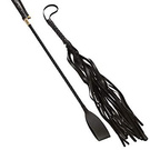 Whips