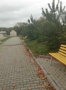 batta80 foto photo 5289853