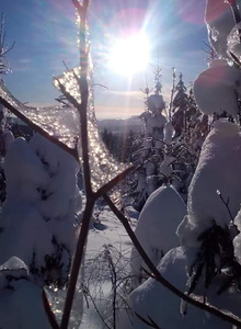 Mihal84 photo 5290336 thumbnail