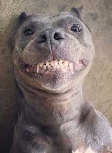 Dedtka My Photos photo 5440648