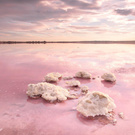 Pink lake