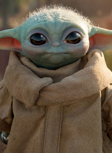 11DimDim11 1 photo 5301336