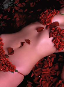 My Photos