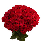 101 roses