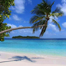 К солнышку)