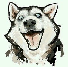 -VOlK-