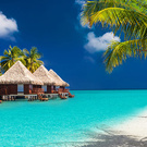 Many trips around the world