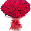 101 rose