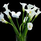 Букет цветов