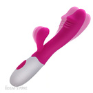 Lovense vibrate toy