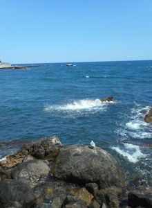 wildberry777 Sea side photo 5407074