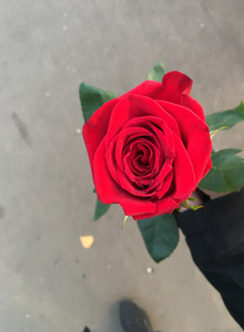 My Photos