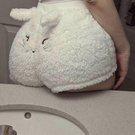 To be ur bunny