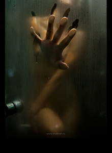 My Photos