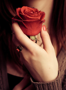 My Photos