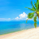 maea-5 wish list item 5 thumbnail