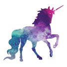 Unicorn team