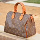 Louis Vuitton bag