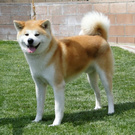 QEeeewl wish list item 1 thumbnail