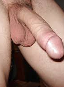SILAduha photo 5470933 thumbnail