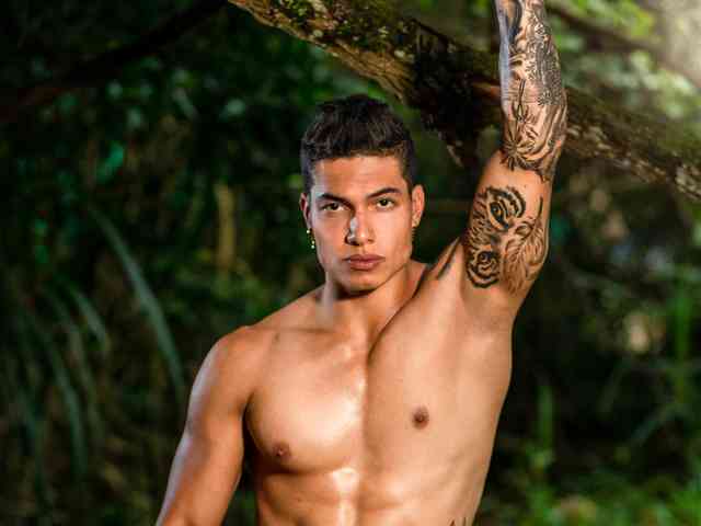 WayneDavis
