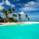 i want to go to Maldives