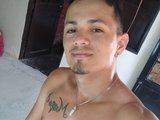 Hamcel19