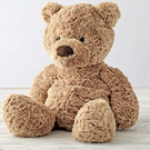 GIFT : Teddy bear